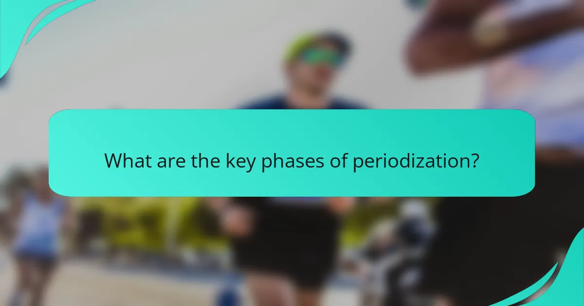 What are the key phases of periodization?