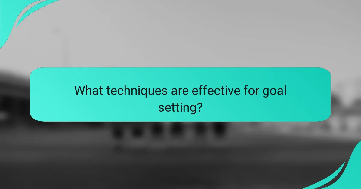 What techniques are effective for goal setting?